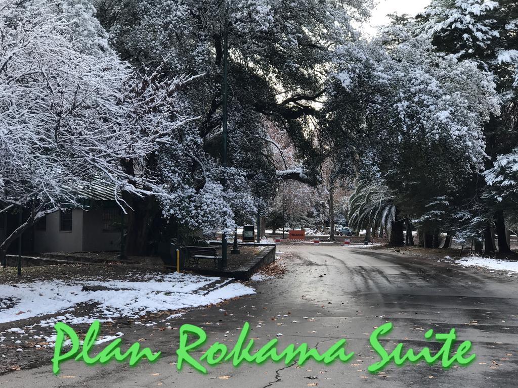 Plan Rokama Suite 586 Mendoza Esterno foto